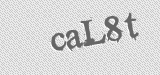 CAPTCHA code