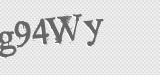 CAPTCHA code