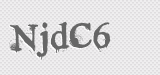 CAPTCHA code