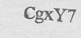 CAPTCHA code