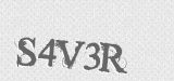 CAPTCHA code