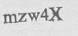 CAPTCHA code