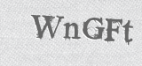 CAPTCHA code