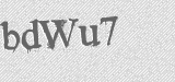 CAPTCHA code