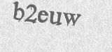 CAPTCHA code