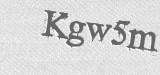 CAPTCHA code
