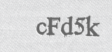 CAPTCHA code