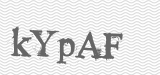 CAPTCHA code