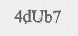 CAPTCHA code