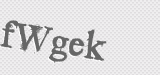 CAPTCHA code