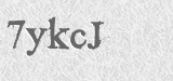 CAPTCHA code
