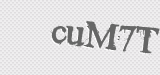 CAPTCHA code