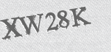 CAPTCHA code