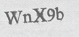 CAPTCHA code