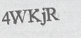 CAPTCHA code