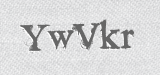 CAPTCHA code