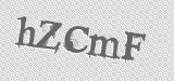 CAPTCHA code