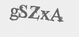 CAPTCHA code