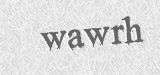 CAPTCHA code