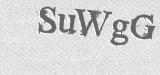 CAPTCHA code