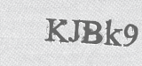 CAPTCHA code