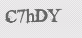 CAPTCHA code