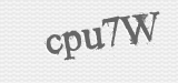 CAPTCHA code