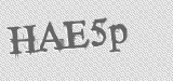 CAPTCHA code