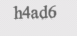 CAPTCHA code
