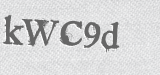 CAPTCHA code