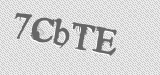CAPTCHA code