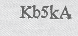 CAPTCHA code