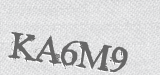 CAPTCHA code