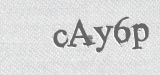 CAPTCHA code