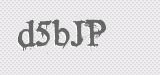 CAPTCHA code