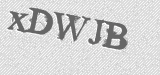 CAPTCHA code
