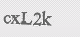 CAPTCHA code