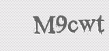 CAPTCHA code