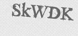 CAPTCHA code