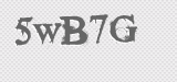 CAPTCHA code