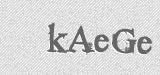 CAPTCHA code