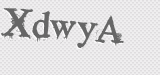 CAPTCHA code