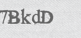 CAPTCHA code