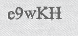CAPTCHA code