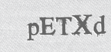 CAPTCHA code