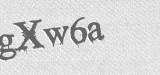 CAPTCHA code
