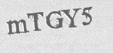 CAPTCHA code