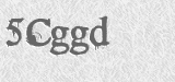 CAPTCHA code