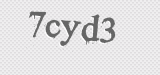 CAPTCHA code