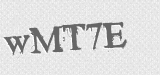 CAPTCHA code